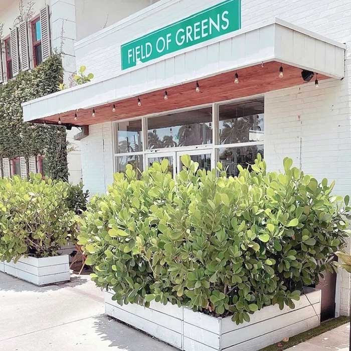 field of greens healthy food restaurant palm beach